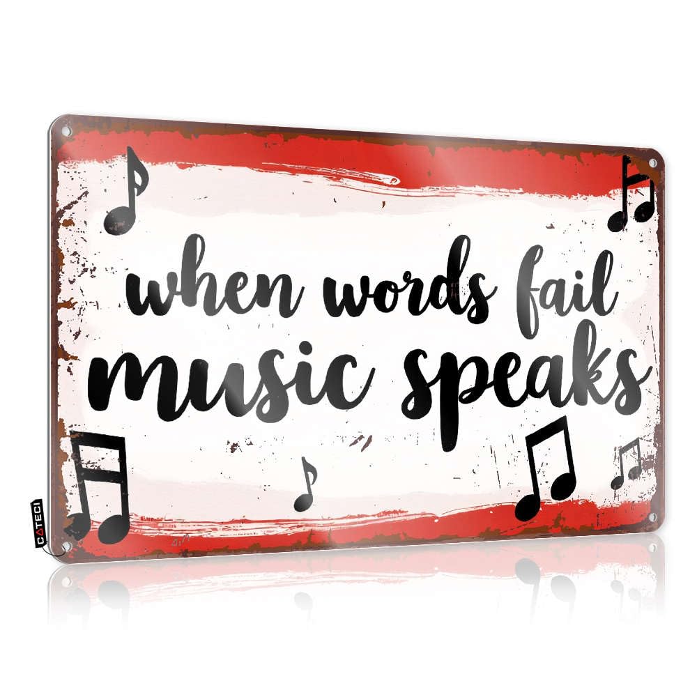 Fzfn Men's Colour Stuff Designer Decorations | When Words Fail, Music Speaks. Large For Shed Living Room(30X40cm)