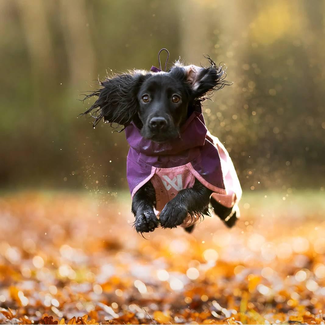 Non-Stop Dogwear Fjord Raincoat 2.0 Impermeable para Perros, Negro/Naranja, Talla 45, Material Poliéster Reciclado