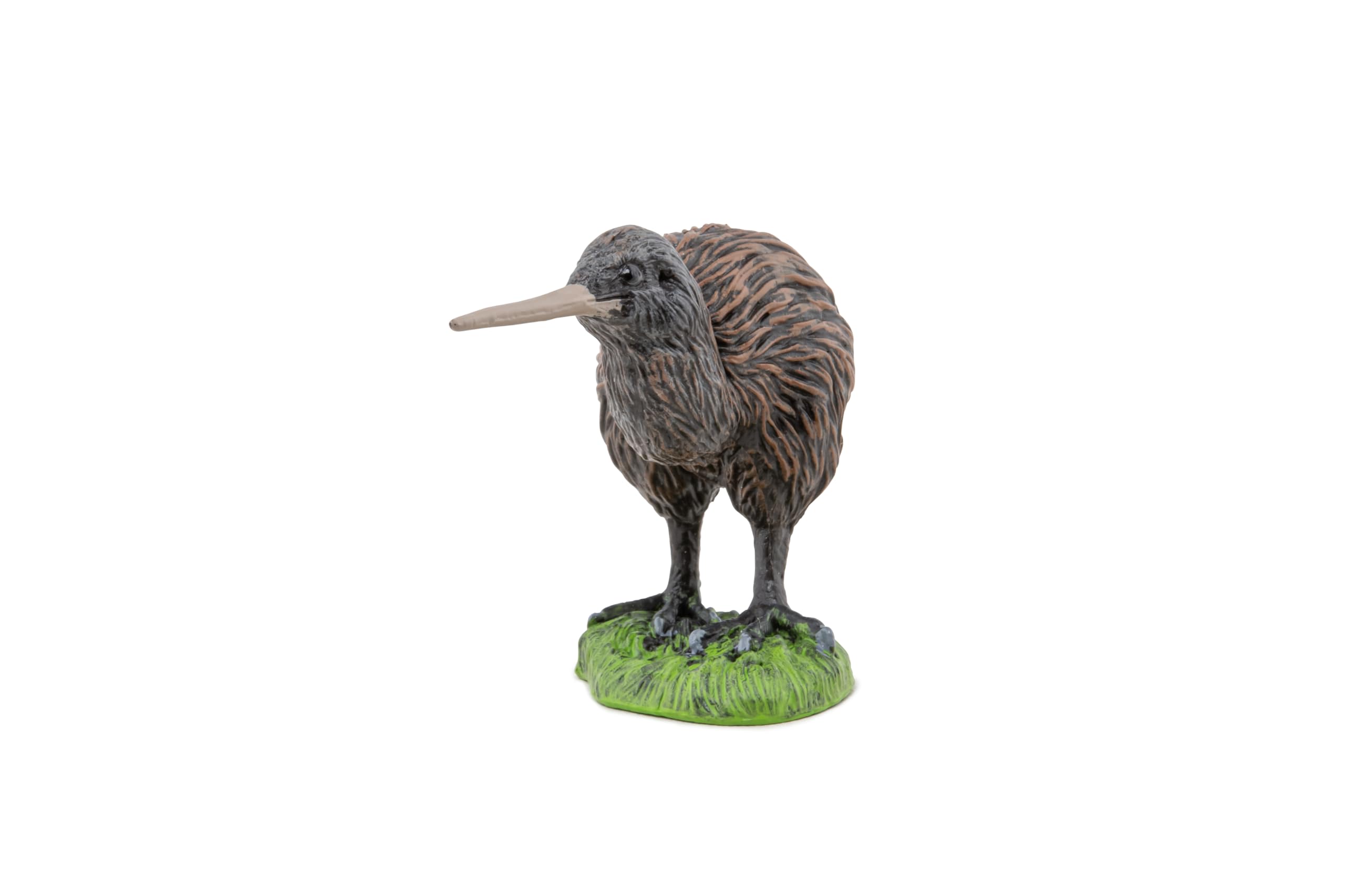 Amazon.com: Papo - Hand Painted - Figurine - Kiwi - 50301