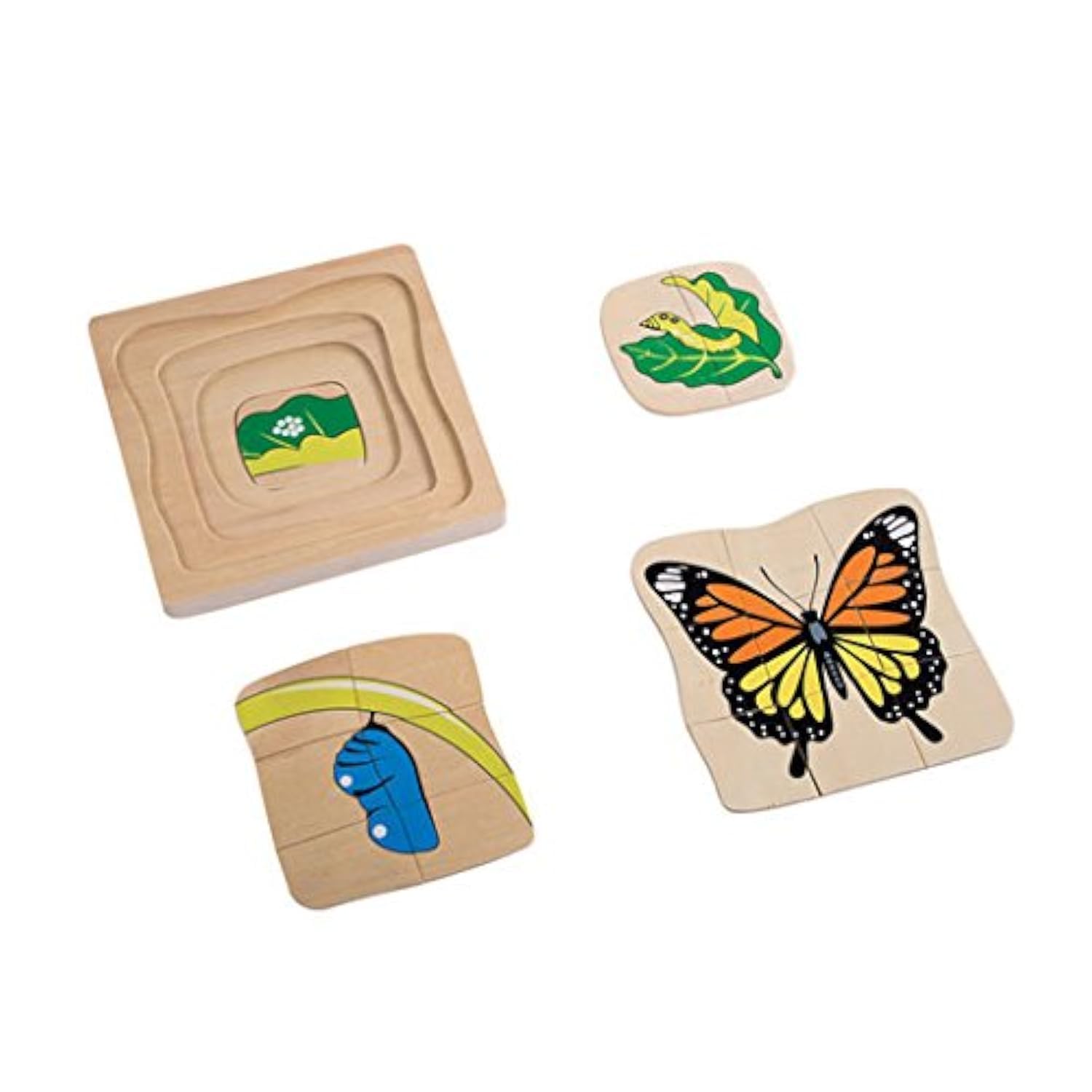 Adena Montessori Puzzle Life Cycle of Butterfly Wooden 4 Layers -Montessori Animals Jigsaw Puzzle for Kids