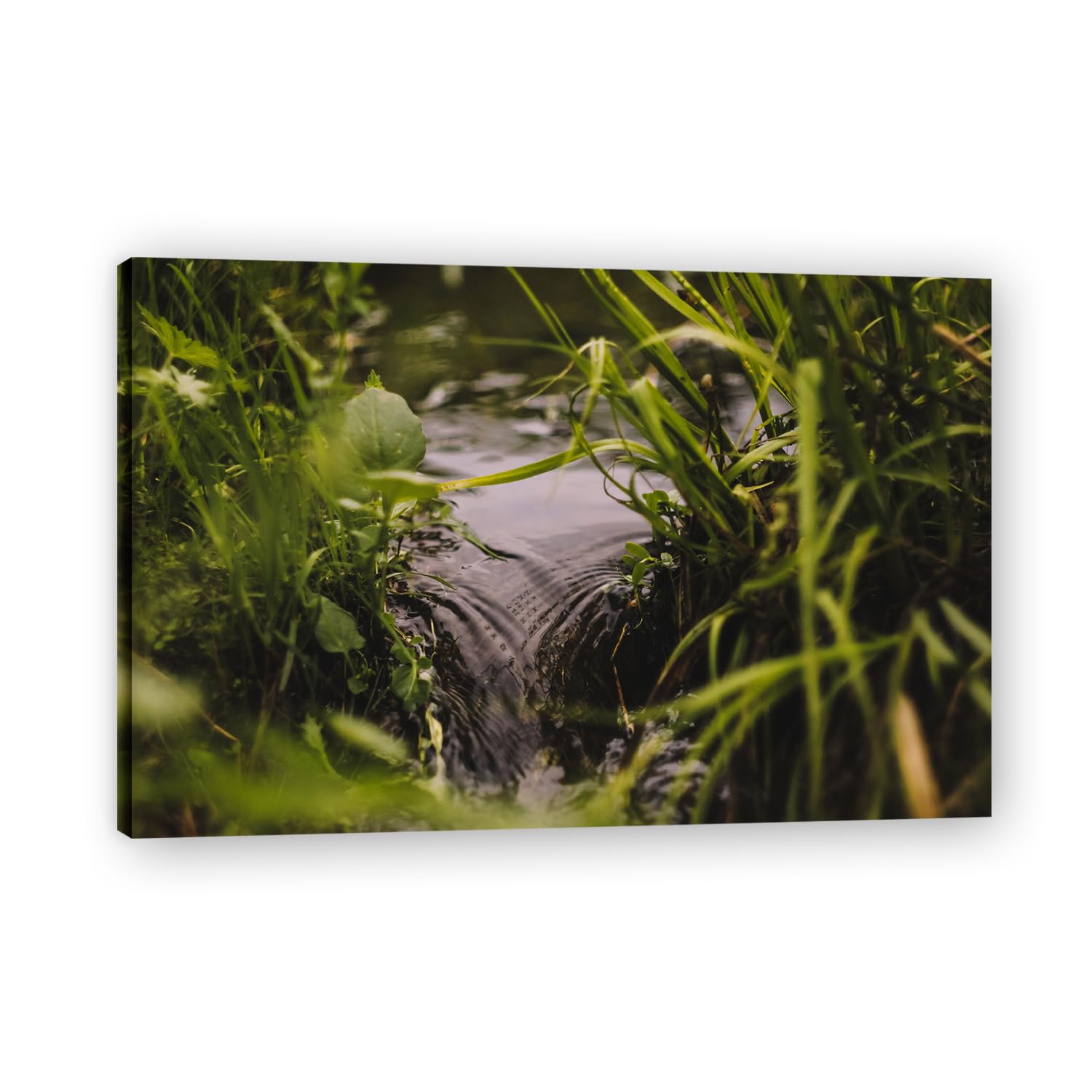 VHdfgTY Water In The GrassMountain Landscape Canvas Wall Art Nature Scenery Wall Decor for Home 40x60cm Framed