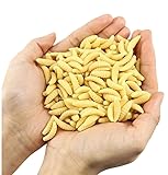 AMZfishing® NEU Messeneuheit 2025 100x lebensechte künstliche Maden | Maden Imitate | Maden Gummi | Gummimaden | Madenimitate | Wurm Köder | Wurm Maden Kunstmaden (100)