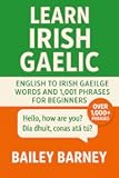 Learn Irish Gaelic: English to Irish Gaeilge Words and 1,001 Phrases for Beginners