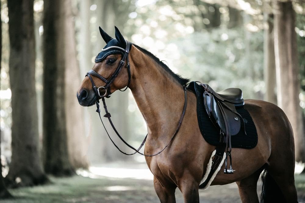 Kentucky Pearls - Mantilla para Caballo