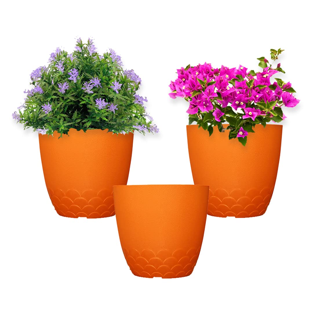See full amazon price history chart for Greenri Flora 10 Inches (Pack of 3) Heavy Duty Plastic Planters Pots UV Resistant Pot for Living Room Outdoor Indoor Round Shape|Flawless |Gardening Planters Pot (Orange Color) Greenri Flora 10 Inches (Pack of 3) Heavy Duty Plastic Planters Pots UV Resistant Pot for Living Room Outdoor Indoor Round Shape|Flawless |Gardening Planters Pot (Orange Color) (B09JM35HDR) Amazon Price History, Amazon Price Tracker