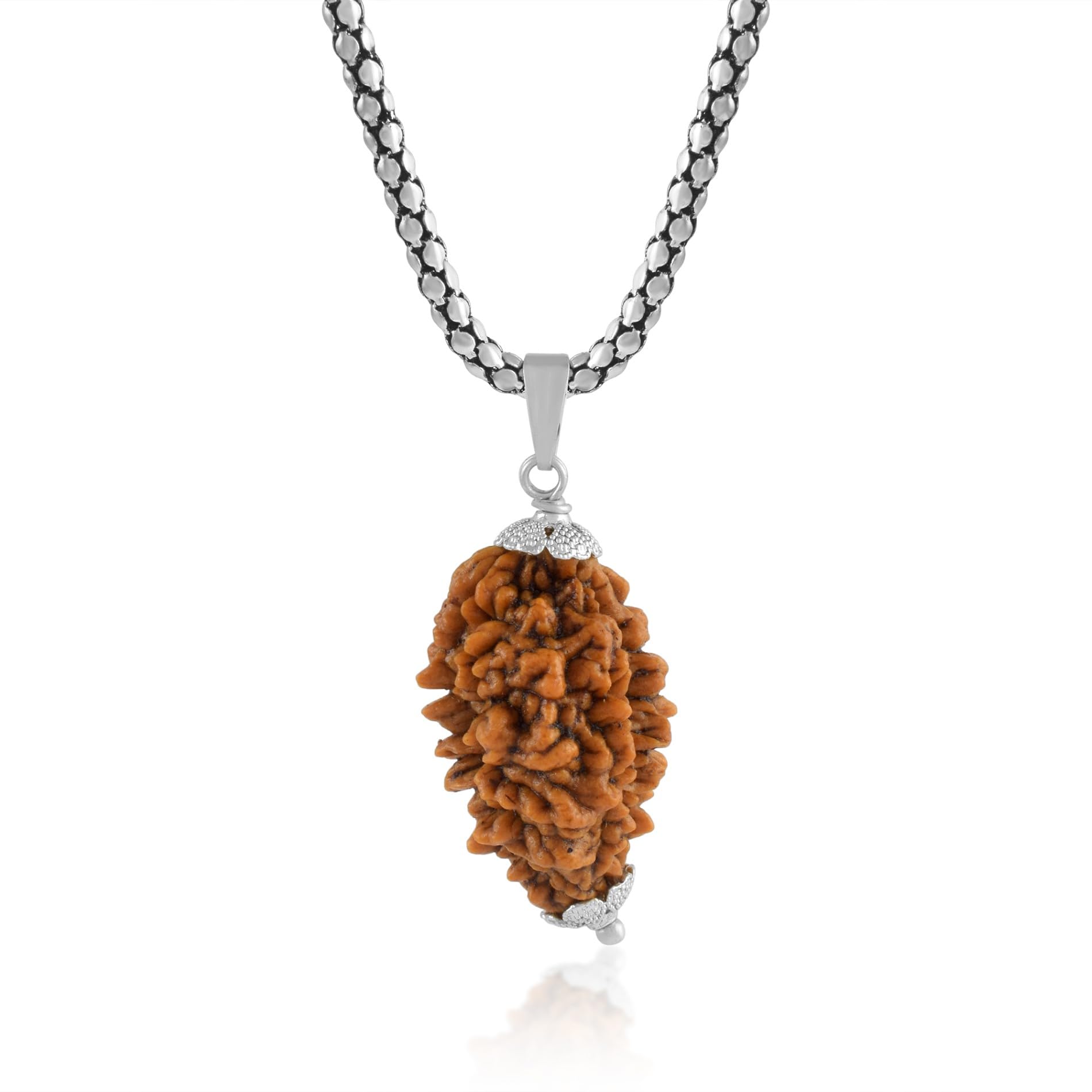 admier 2 Mukhi Rudraksha Pendant Lab Certified Nepali TWO Mukhi Original Certified Rudraksha Pendant with chain for Men and Women, Origin Nepal, Color Brown(ACPC0158A)-picture-18