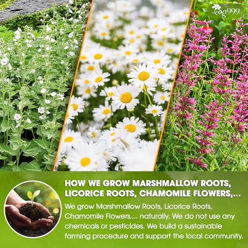 Image of TOG999, Premium Digestive Tea Bags | 40 Count | Herbal Blend with Marshmallow Root, Licorice Root, Chamomile Flower, Ginger, Fennel Seed, Peppermint & Cinnamon - Smooth & Comforting Herbal Tea