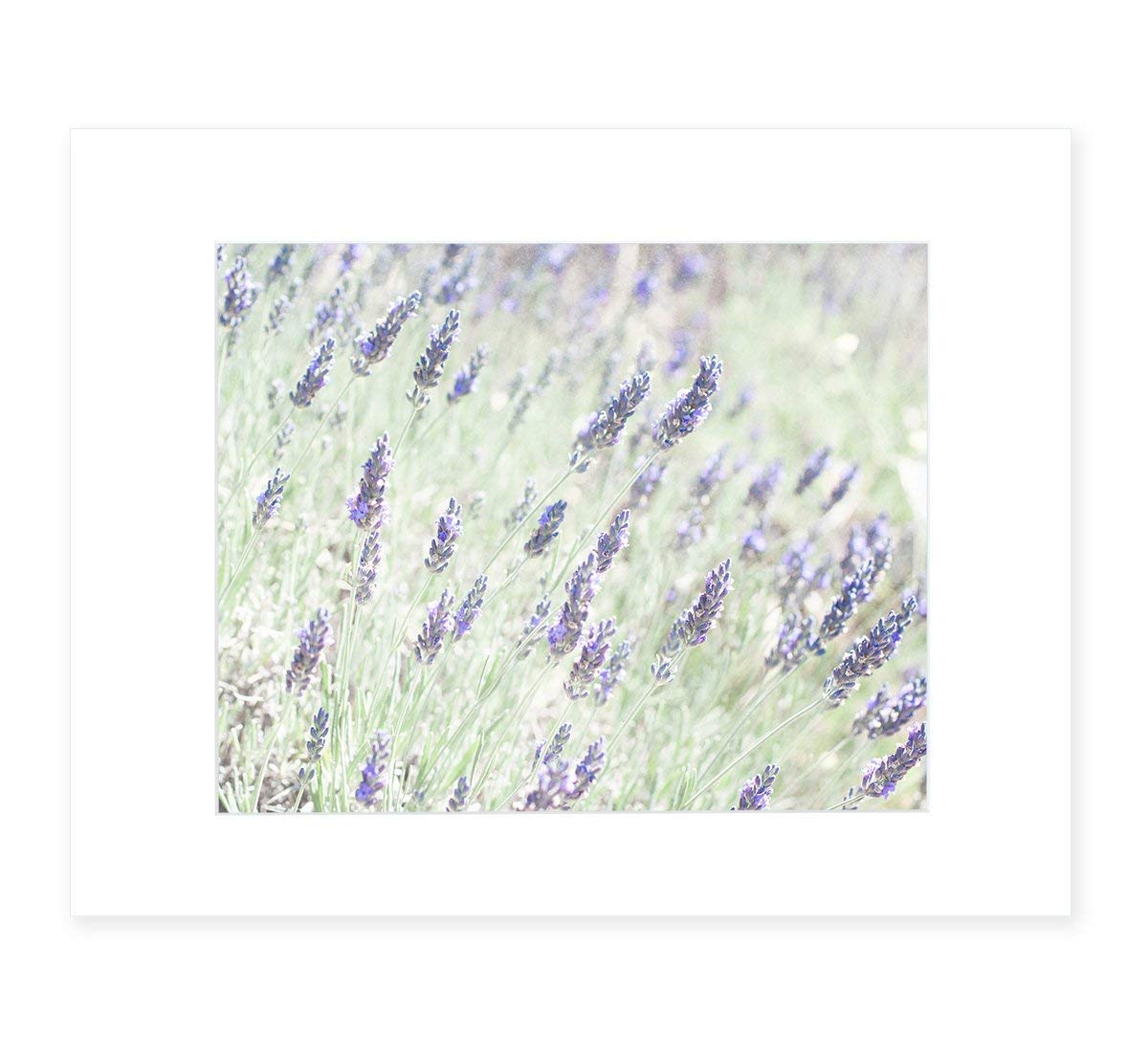 Purple Botanical Wall Art, Rustic Floral Farmhouse Decor, Wild Flower Picture, 8x10 Matted Photographic Print, (Fits 11x14 Frame) ‘Lavender for LaLa’