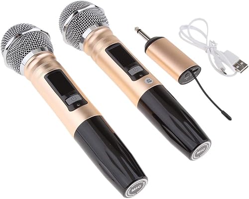 Baosity Profi Kabelloses Bluetooth Mikrofon  Funkmikrofon mit Mikrofonen fA r Karaoke Party Konferenz Sitzung Show Bar Studio