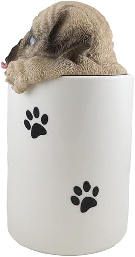 Miniatura 3 de Ebros Gift Tarro de cerámica hambriento con lengua que oculta y se asoma en seco, tarro de almacenamiento con huellas de patas, 6 pulgadas de alto,