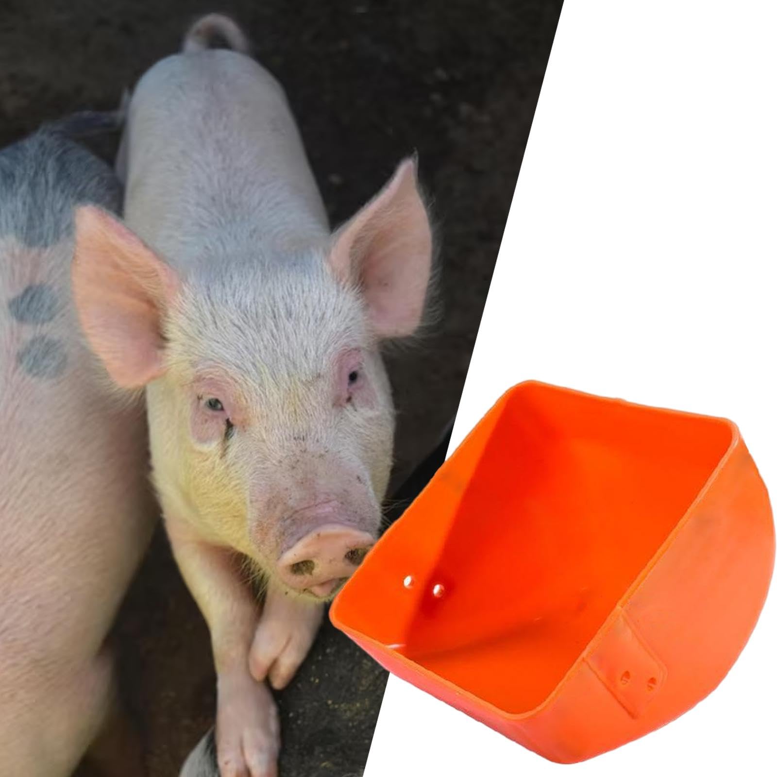 Generic Comedero para Cerdos, Bandeja de Comida, Cubo, de Gran Capacidad, para Aves de Corral, Ganado Vacuno, Perros Y Otros Animales, Naranja