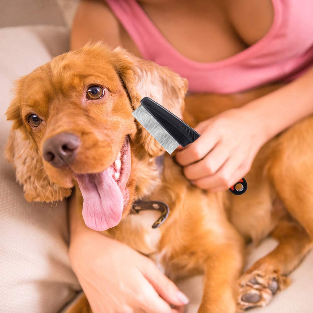 Peigne à Puces De Chien De Chat, Peigne à Puces Pour Enlever Les Cheveux Longs, Le Chien Et Le Chat, Les Petits Et Les Petits Chiens Et Les Puces De Chat