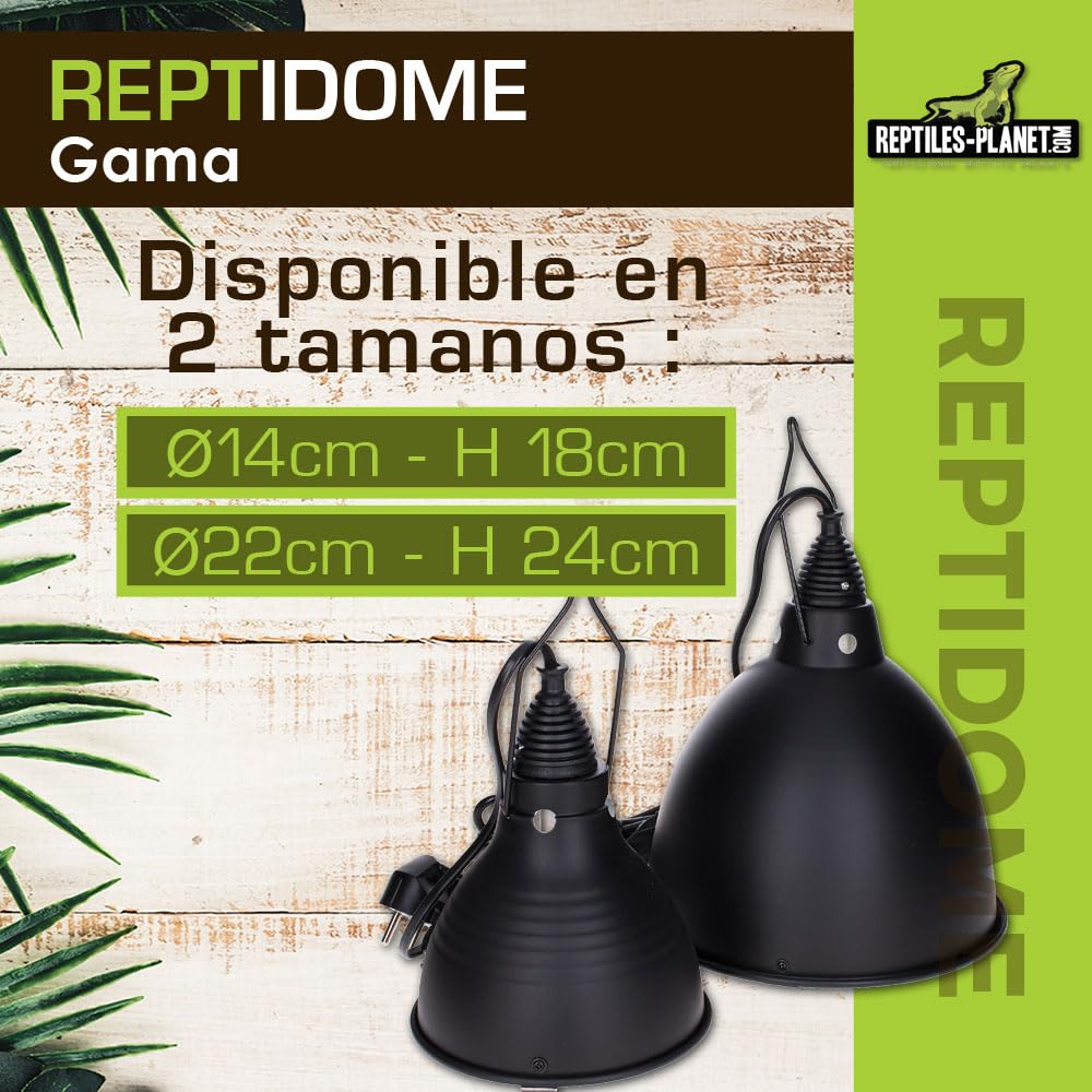 Reptiles Planet - Reptidome 14 - Soporte de Bombilla para Colgar o Colocar en el terrario, diámetro 14 cm, Altura 18,2 cm