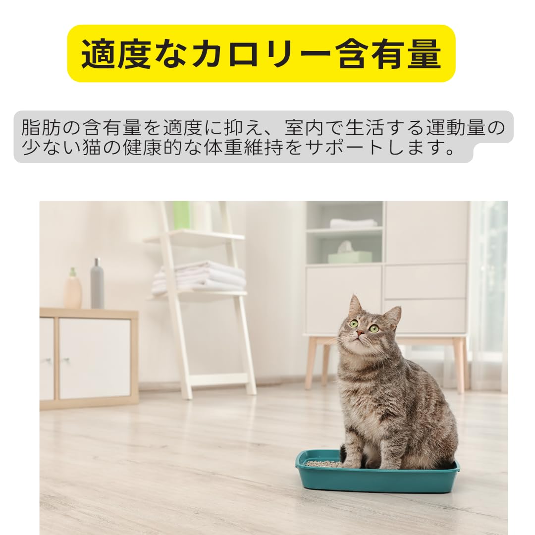 Amazon | ロイヤルカナン 室内で生活する猫専用フード 成猫用