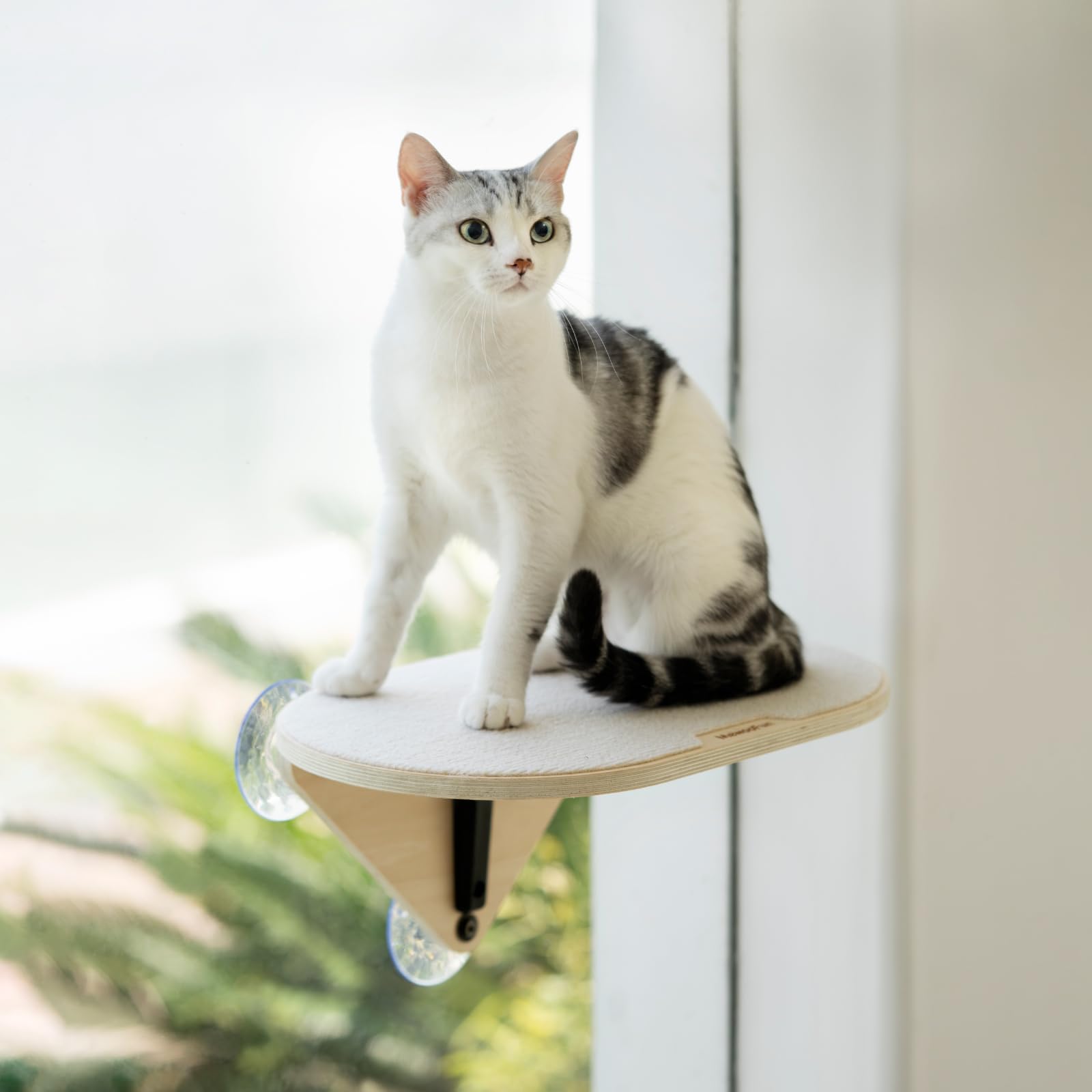 Stunq Kattenraam Hangmat met Veilig Metalen Frame en Macramé Kwastjes
