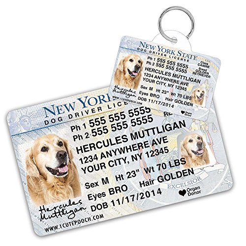 pet driver's license id tag
