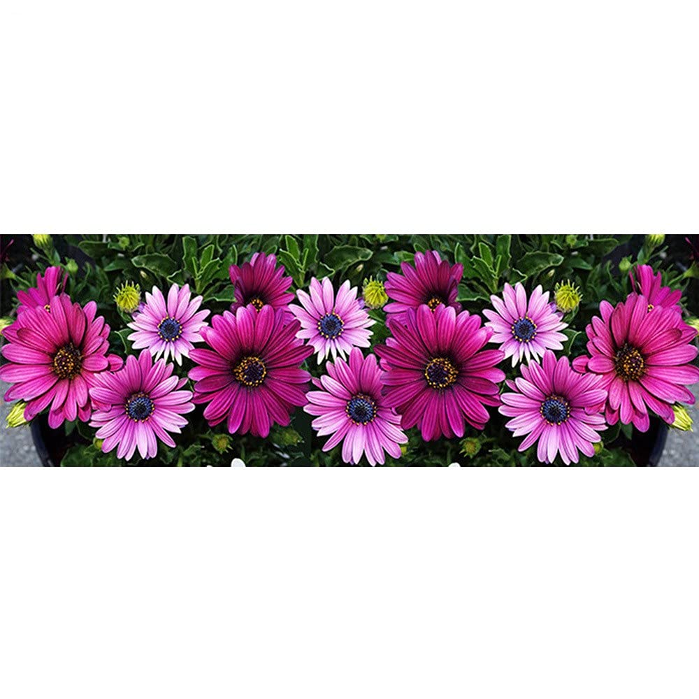 Peinture diamant fleurs pourpres anti-stress pour réussir sa décoration murale fait main