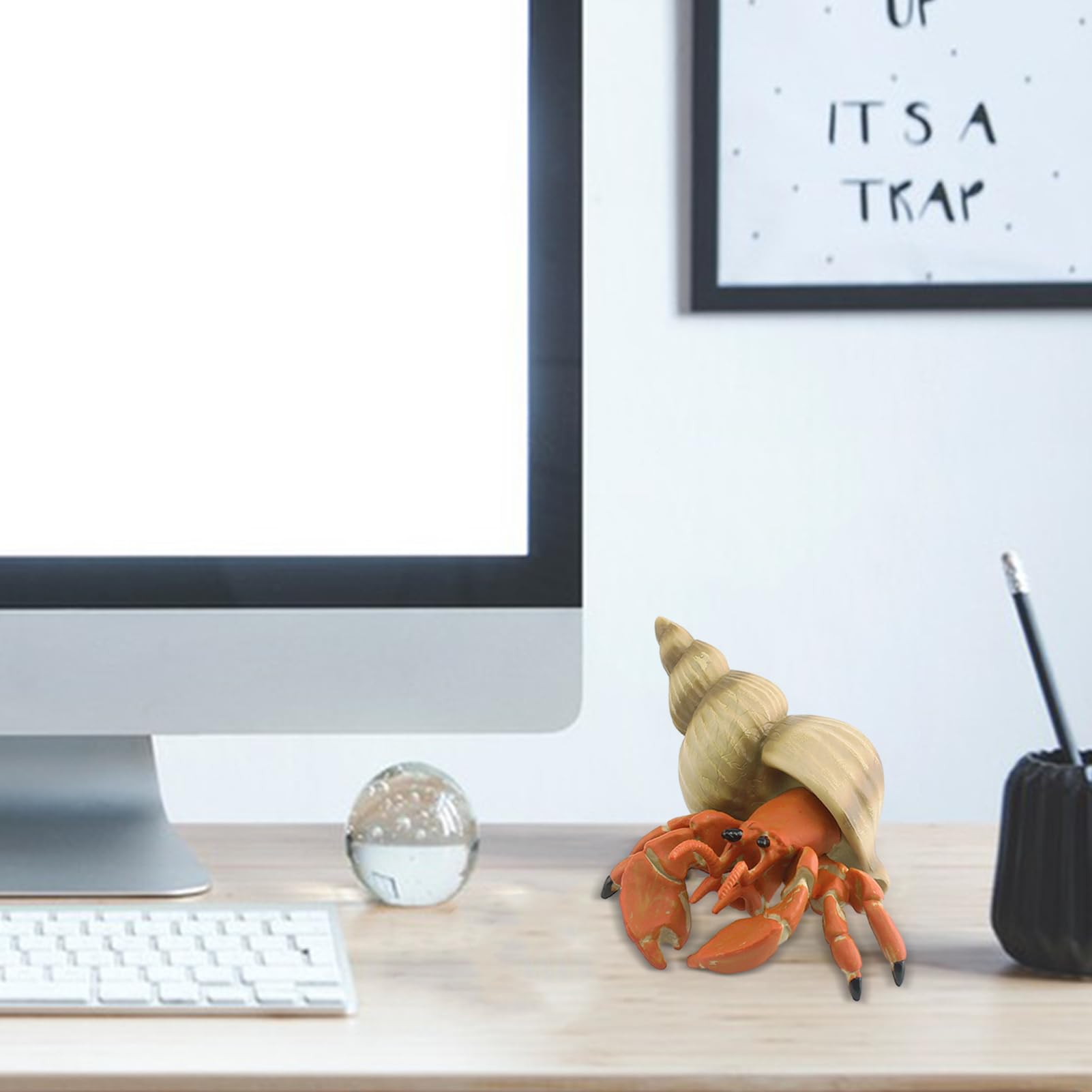 Amazon.co.jp: ヤドカリの置物 - 装飾的なヤドカリの殻付き、多機能