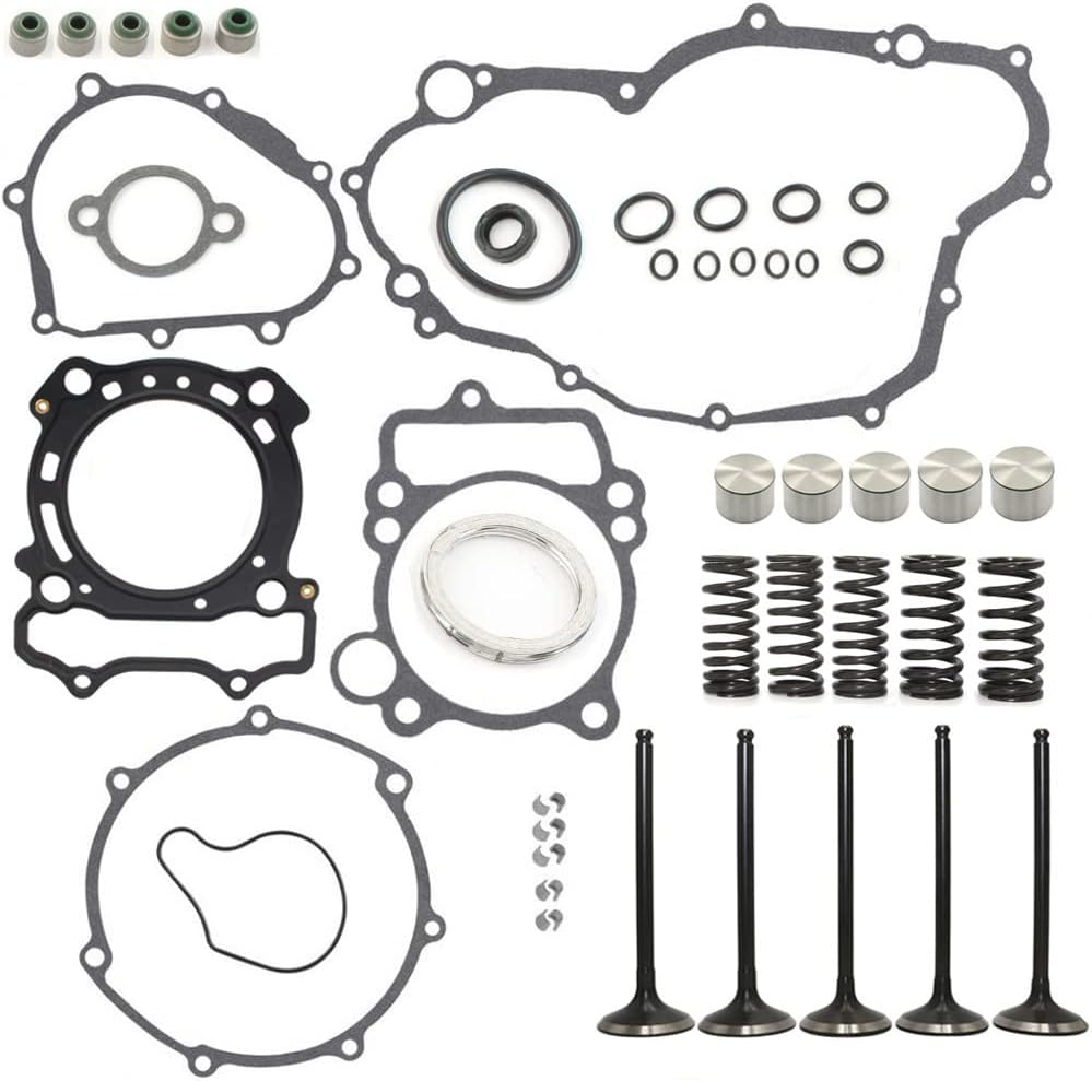 HWKWAZ Engine Intake Exhaust Valve Lifter Bucket Spring