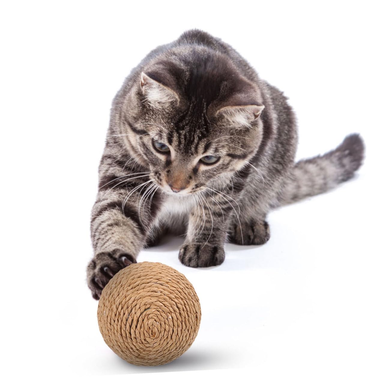 Kisangel 6 Piezas Bola de sisal para Gatos Juguete para Gatos Juguete de Pelota para rascar Juguetes para Juguetes para Masticar Gatitos Juguete para Mascotas rascadores para
