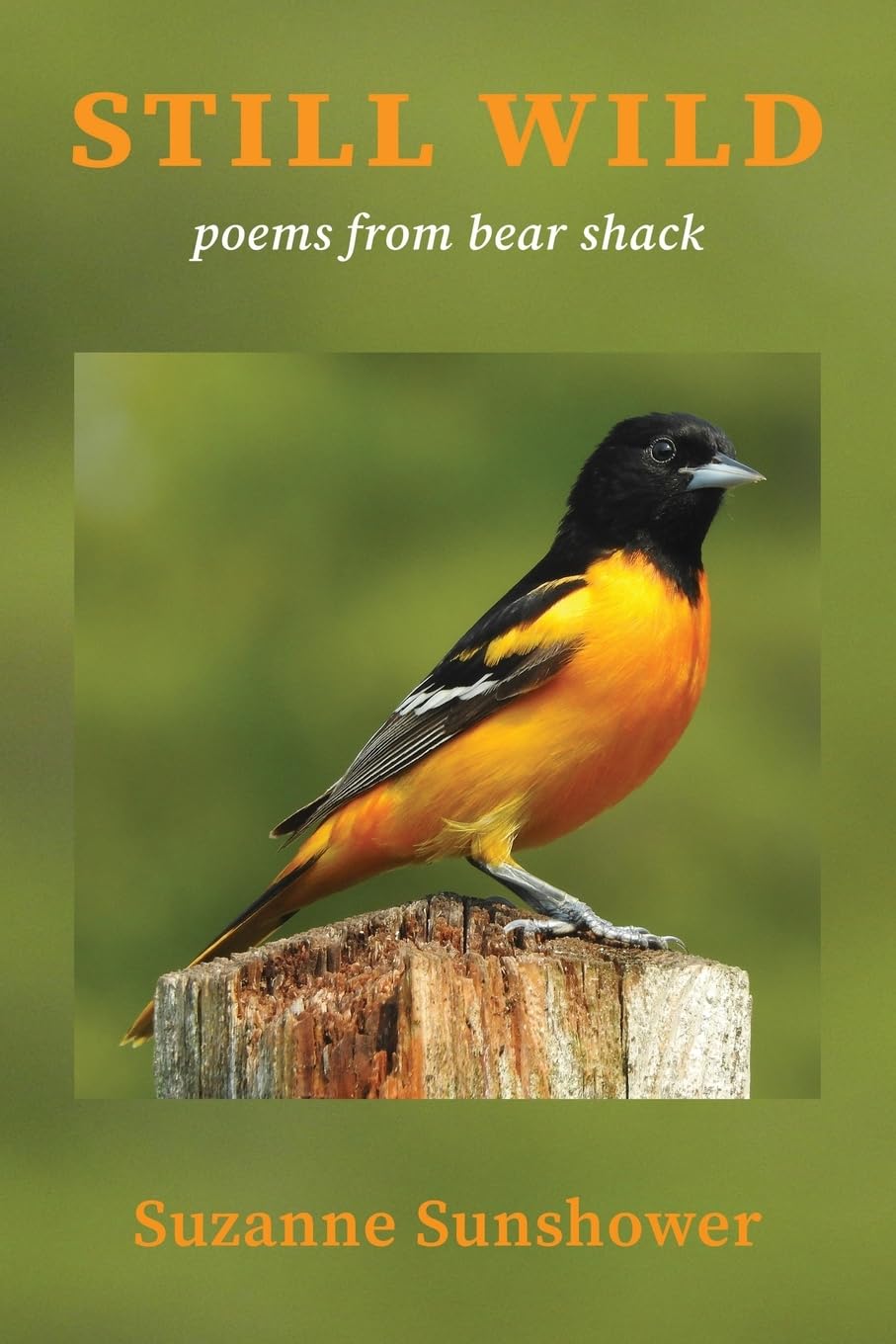 Still Wild: Poems from Bear Shack      Paperback – November 3, 2025