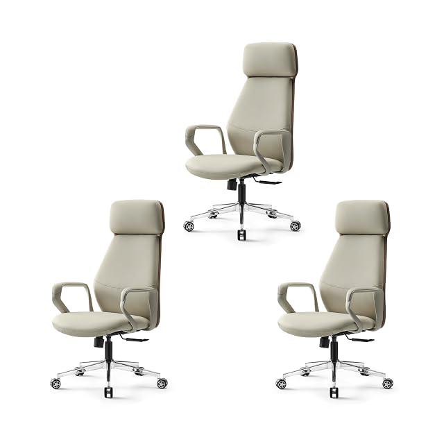 Eureka Ergonomic EUREKA ERGONOMIC Aric Executive Office Chair, High Back PU Leather Desk Chair with Lumbar Support, Professional Modern Home Office Chair with Large Headrest & 3-Position Recline(Pack of 3, Beige)