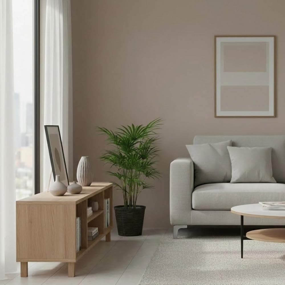 Amazon｜観葉植物 棕櫚竹（シュロチク） 8号 【ブラウン鉢カバー付