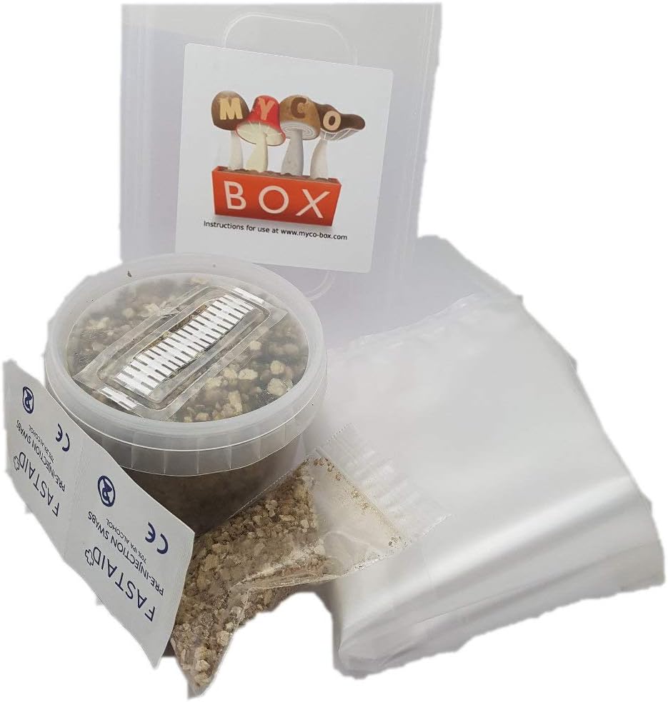 MycoBox x 4