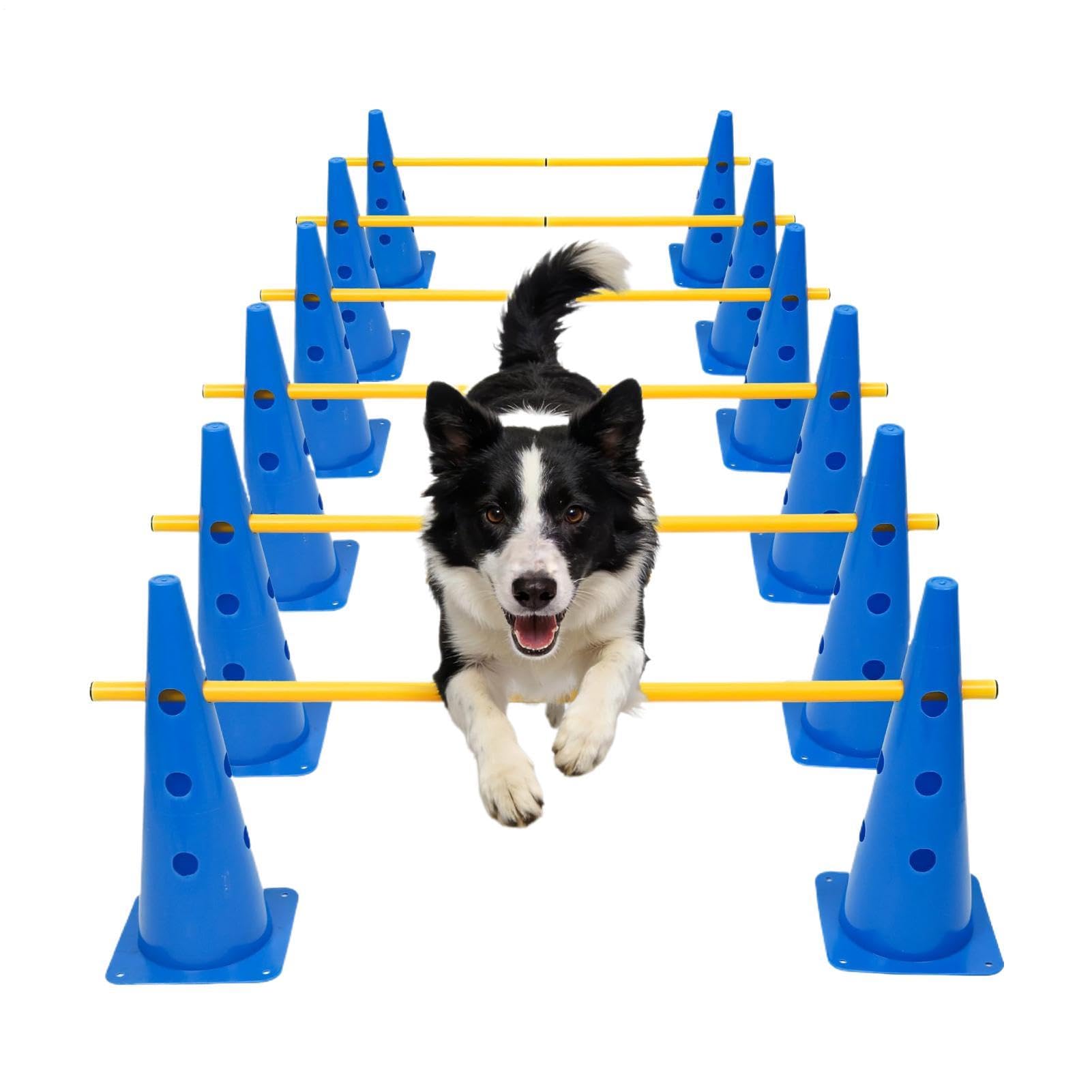 Generico Agility-Ausrüstung für Hunde | Höhenverstellbar Robust | Hindernisparcours-Hütchen für Hunde | für Kleine, Mittlere Große Welpen | für Drinnen Draußen | für Garten Park