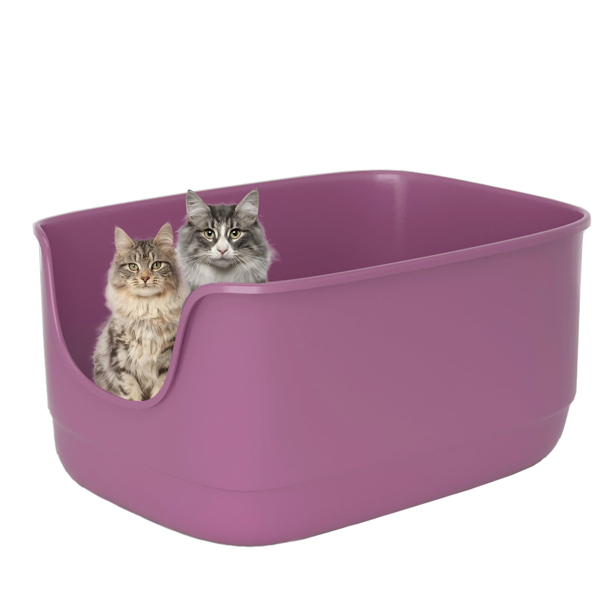 Suhaco Bac à Litière Haut pour Chat Anti-éclaboussures Grande Litière Ouverte 61 x 48 x 31 cm pour Petits Chats Bac à Litière à Entrée Basse (Violet XL)