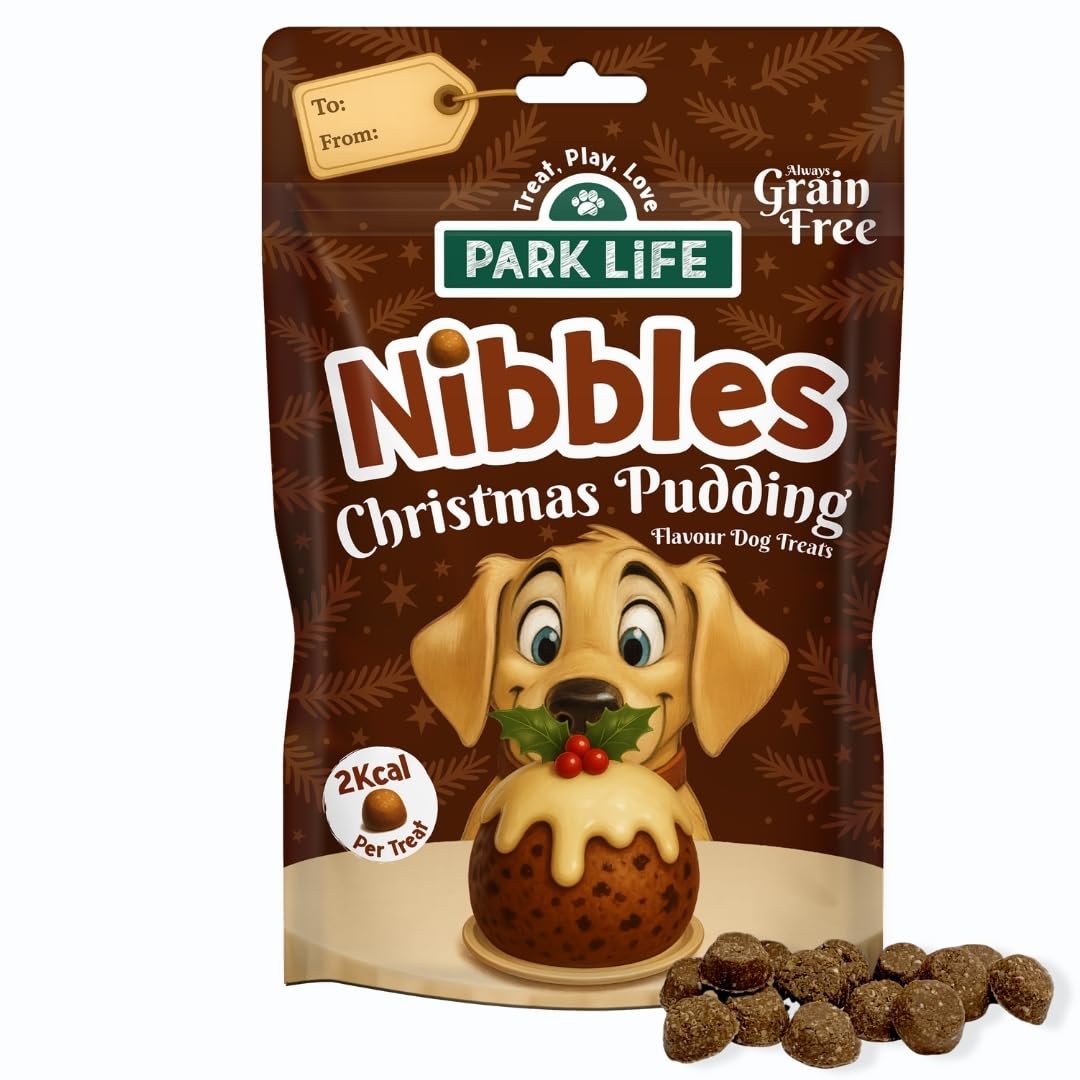 PARK LiFE - Nibbles Little Rewards Christmas Pudding Dog Treat, Training Snack, Great for Puppies, 100g Pouch