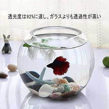 Amazon | Nizzvlo アクリル 丸型金魚鉢 (30cm) 金魚・メダカ用