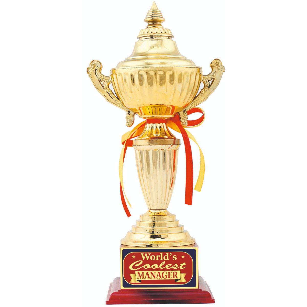 Aark India Manager Birthday/Anniversary/Corporate Function Gift:1St Place:Trophy:Award (PC001411) (B08811LT4B) Amazon Price History, Amazon Price Tracker