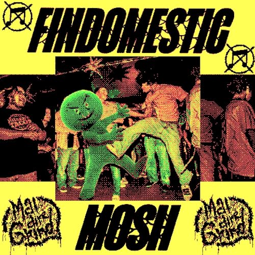 Findomestic Mosh