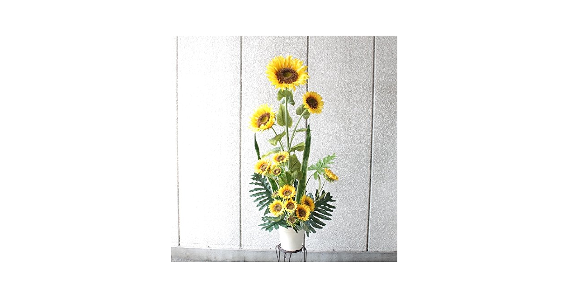 61TFNog5q7L.jpg_BO30,255,255,