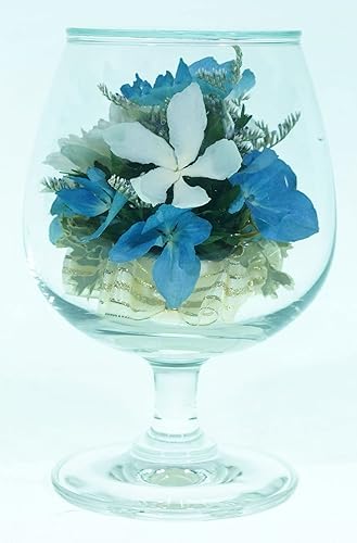 Miniatura 3 de Fi'ora Flores conservadas de crisantemo blanco, flores Inda blancas, hortensias azul cielo, jarrón de vidrio sellado de limonio, regalo para esposa,