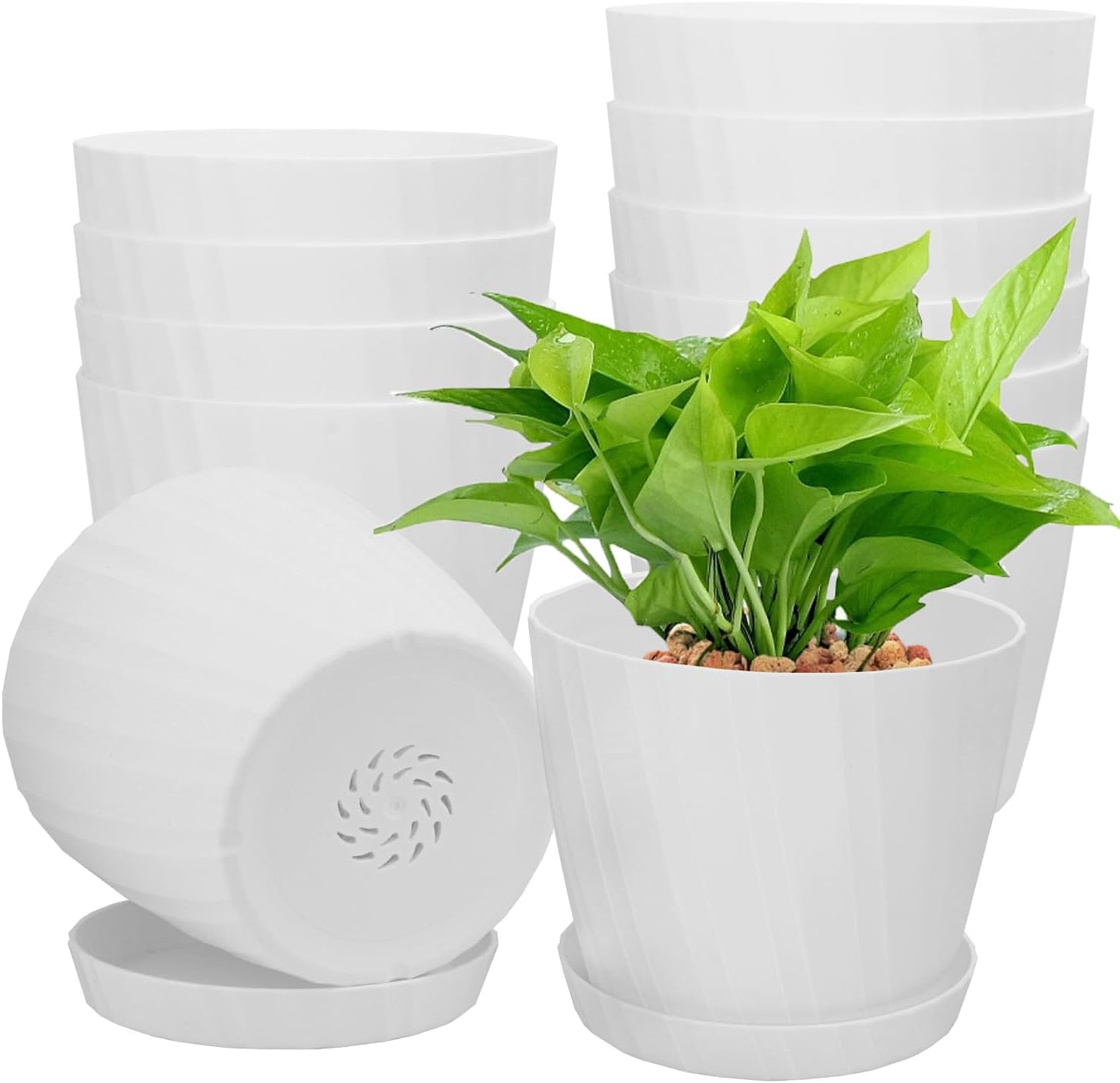 IHDYPPEW 12 Pack 6 Inch Plant Pots Bulk, Plastic Planters