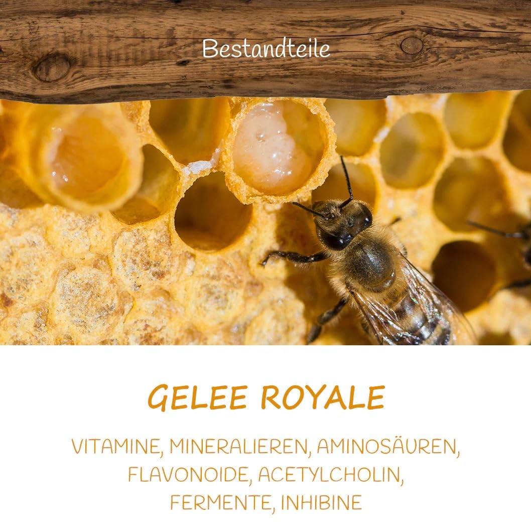 Allgäuer Wanderimkerei Gelee Royal 25g I traditionelle Herstellung I fein-aromatisch I naturbelassen & hochwertig I bienenprodukt