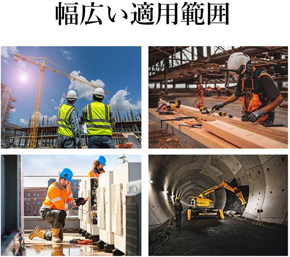 美品 掛け軸 臼田弘毅作 京洛冬景図 金閣寺 共箱 花鳥 南天 縁起物 正月