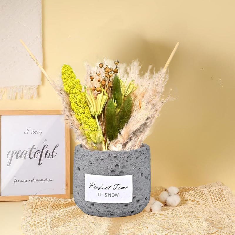 Cortina Preserved Dried Flowers for Wall Decor | Aesthetic Room Decor, Home Decor, Living Room Decor & Bedroom Decor | Great for Christmas Gifting - Yellow - 16x9x28 CM 2