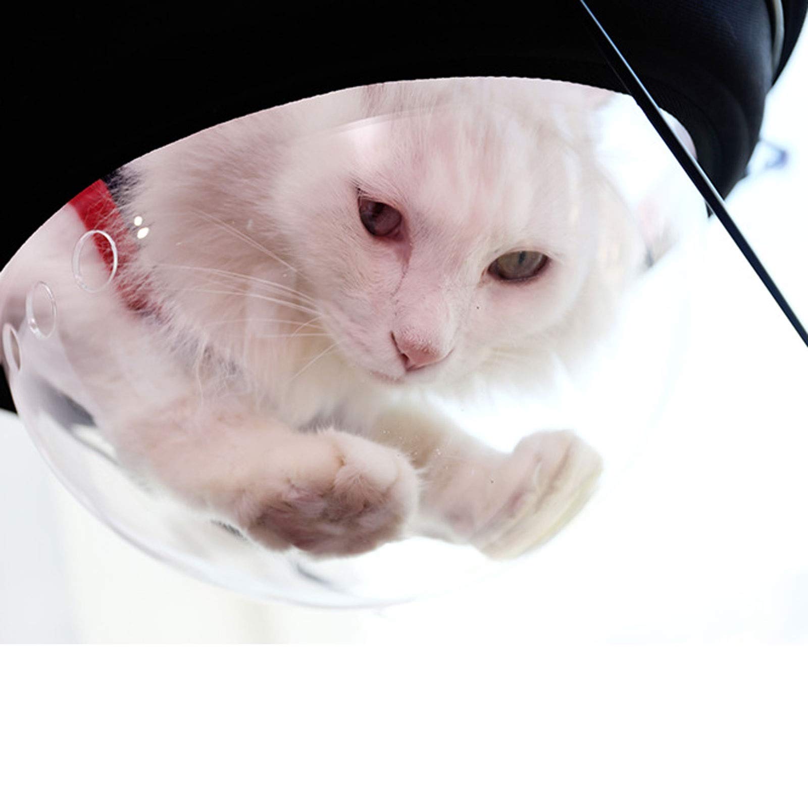 Cama para Mascotas Perca de la Ventana del Gato, Hamaca de la Ventana del Gato, Kitties Cama soleada para Arriba, Marco de Metal Estable Cara de Gato Hamaca Cama Mascota Waterloo