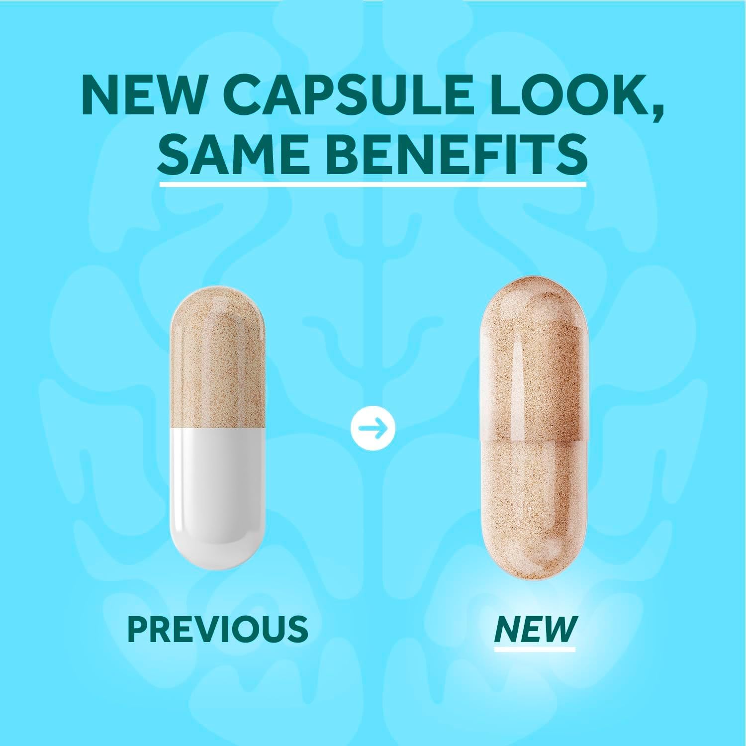 NEURIVA Plus Brain Supplement for Memory, Focus & Concentration + Cognitive Function with Clinically Tested Nootropics Phosphatidylserine and Neurofactor, VIT B6 & B12, 30 Count Capsules (2 Pack) — Amazon image 3