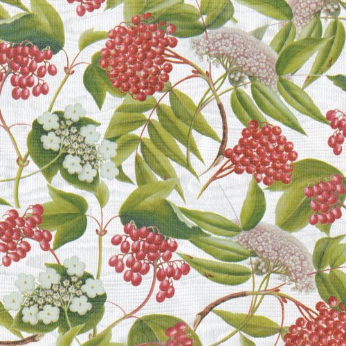 Caspari Berry Chintz Continuous Gift Wrapping Paper Roll, 8-Feet, Pale Silver