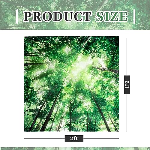 Image of VIHOSE 4 Pcs 2 x 2 Feet Fluorescent Light Covers for Ceiling Lights Classroom Magnetic Light Filters for Reducing Harsh Glare Flicker for Office Classroom Home Drop Ceiling(Forest)