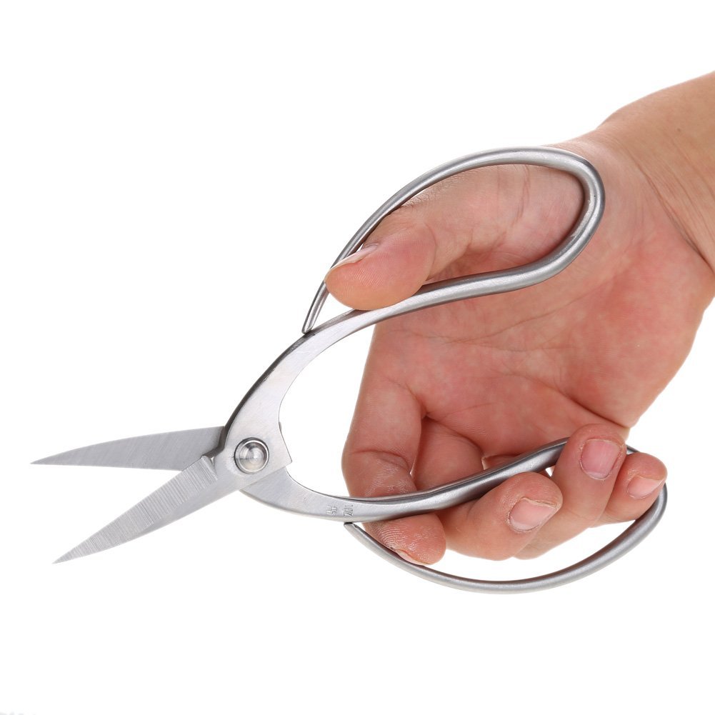 Zerodis Forbici Potatura Bonsai Acciaio Inox