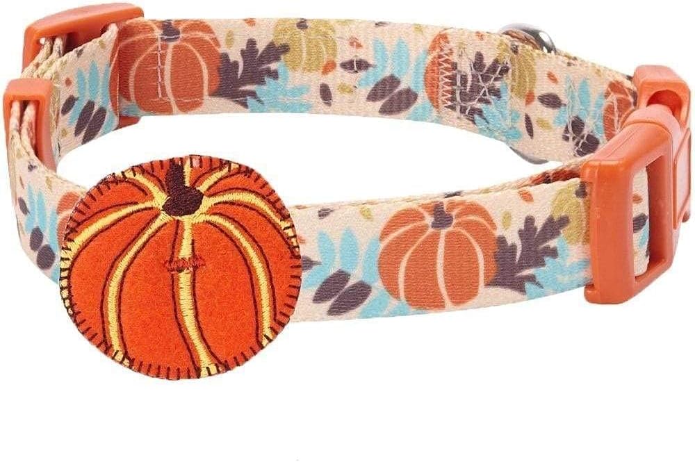 Blueberry Pet Thanksgiving Collar Bundle Set - Small Pumpkin Collar + Small Maple Collar