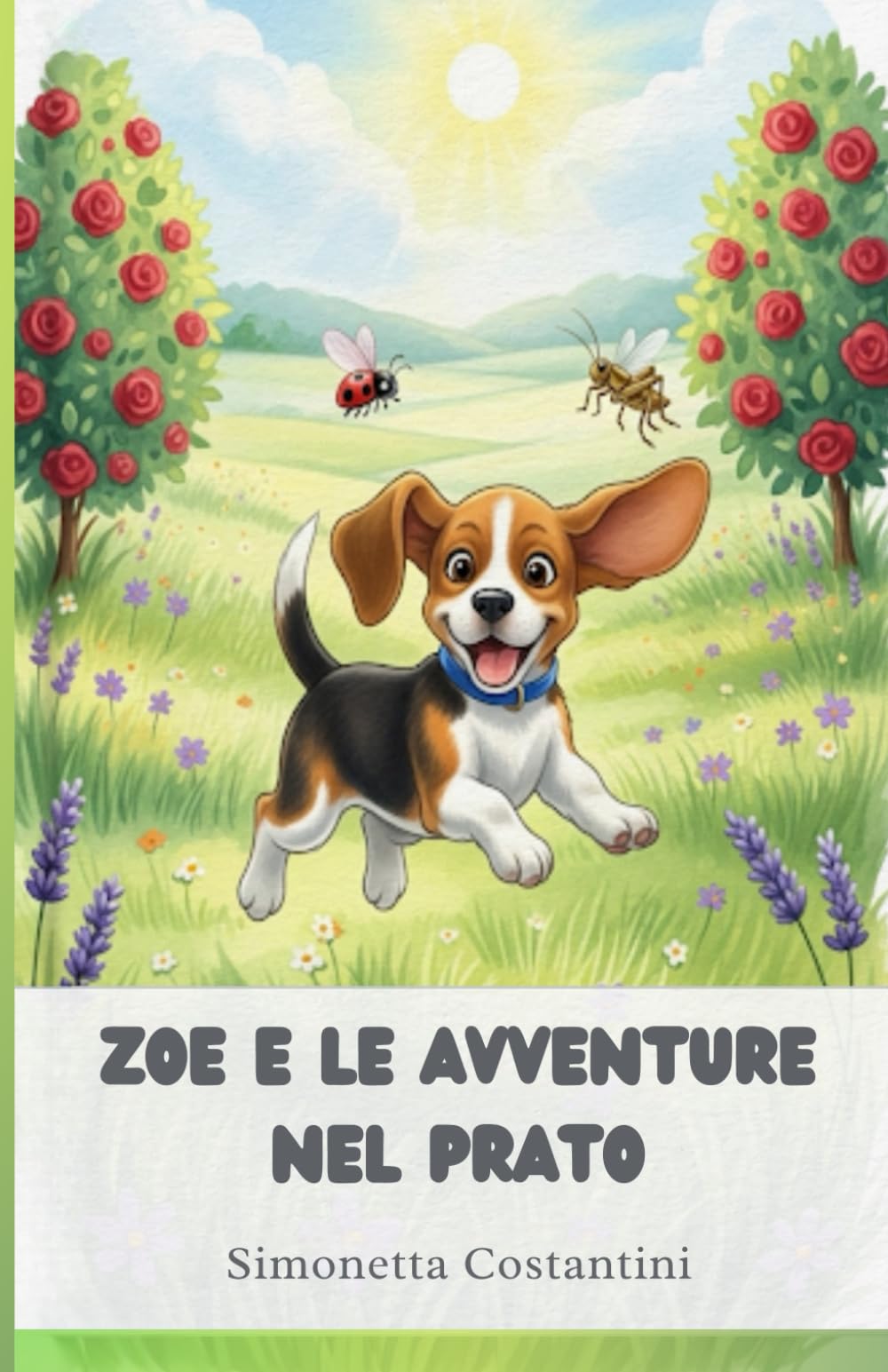 ZOE E LE AVVENTURE NEL PRATO