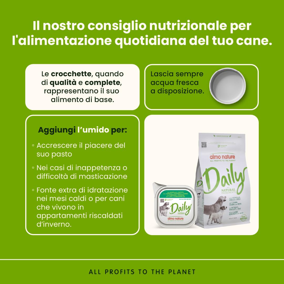 Almo Nature Daily, Alimento Umido per Cani Adulti con Agnello e Patate - 100g, Confezione da 32