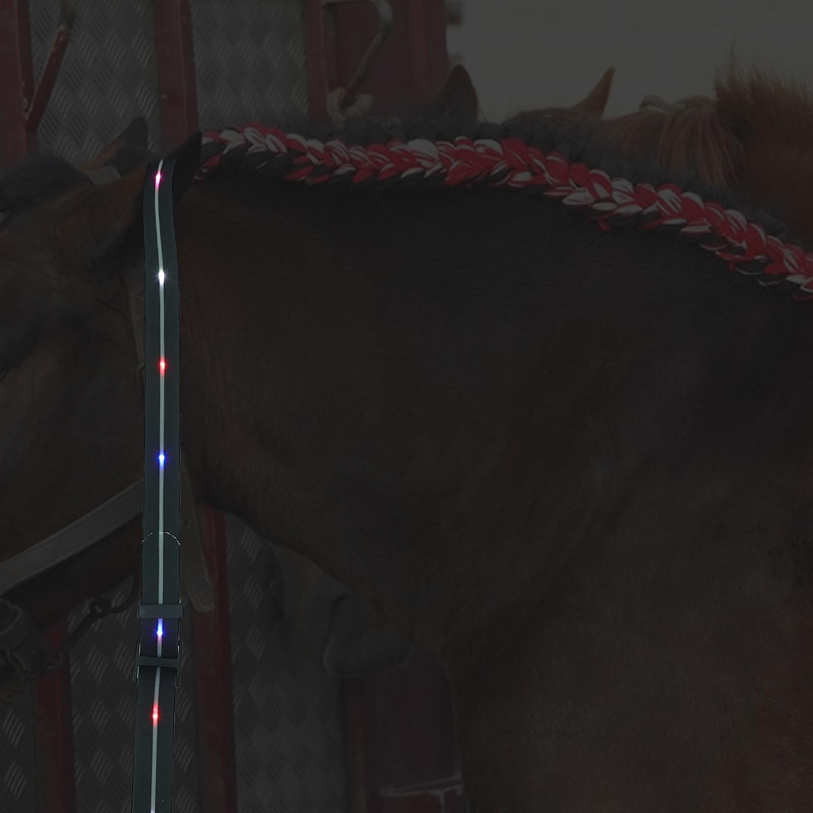 Healeved Leuchtende Pferdebrustleine mit LED Beleuchtung, Schwarz