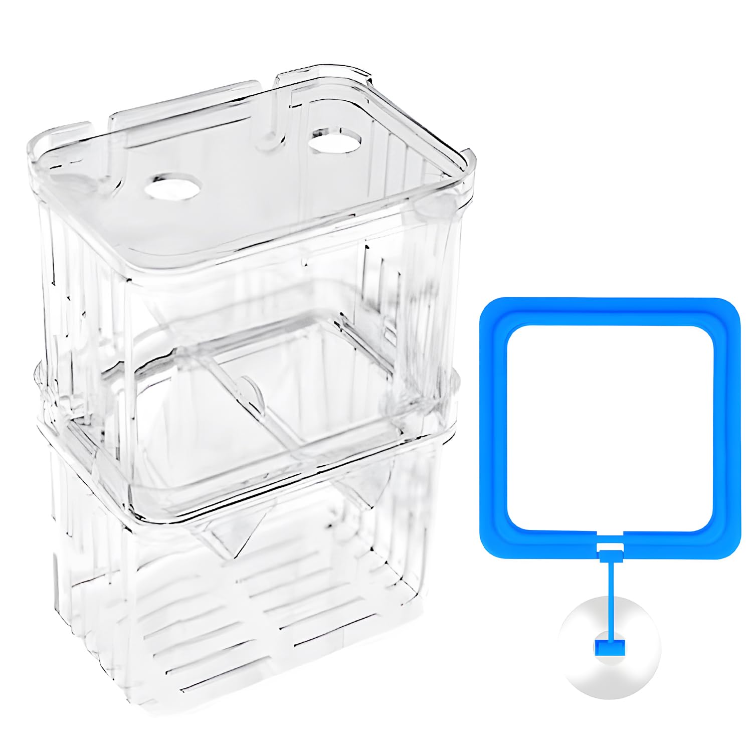 Scatola di allevamento per Guppy e specie tropicali, in plastica trasparente con serbatoio di isolamento, incubatrice galleggiante e divisore